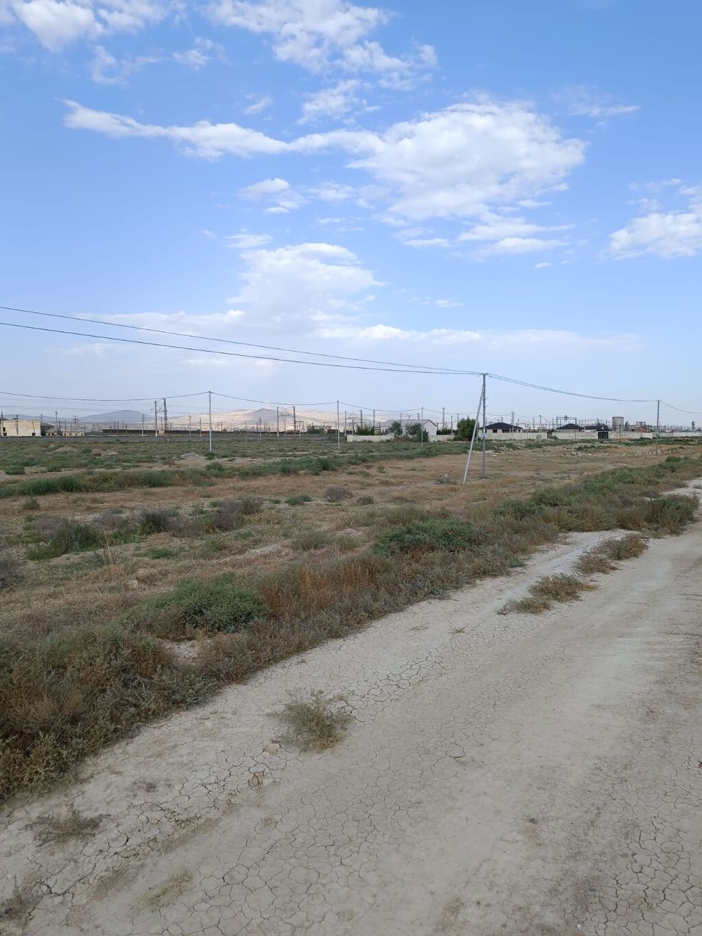 Tikinti