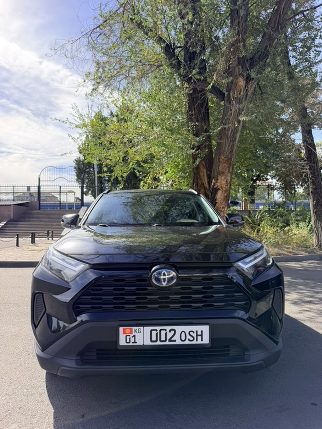 Toyota RAV4: 2022 г., Гибрид, Кроссовер: фото 1