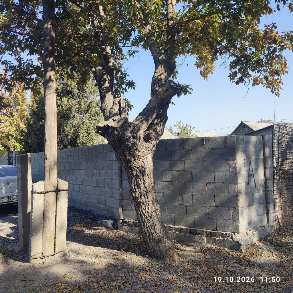 3 комнаты, 60 м², 4 соток, Бишкек, Собственник: фото 5