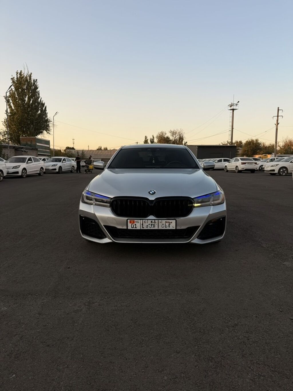 BMW 5 series: 2019 г., 2 л, Автомат, Бензин, Седан: фото 1