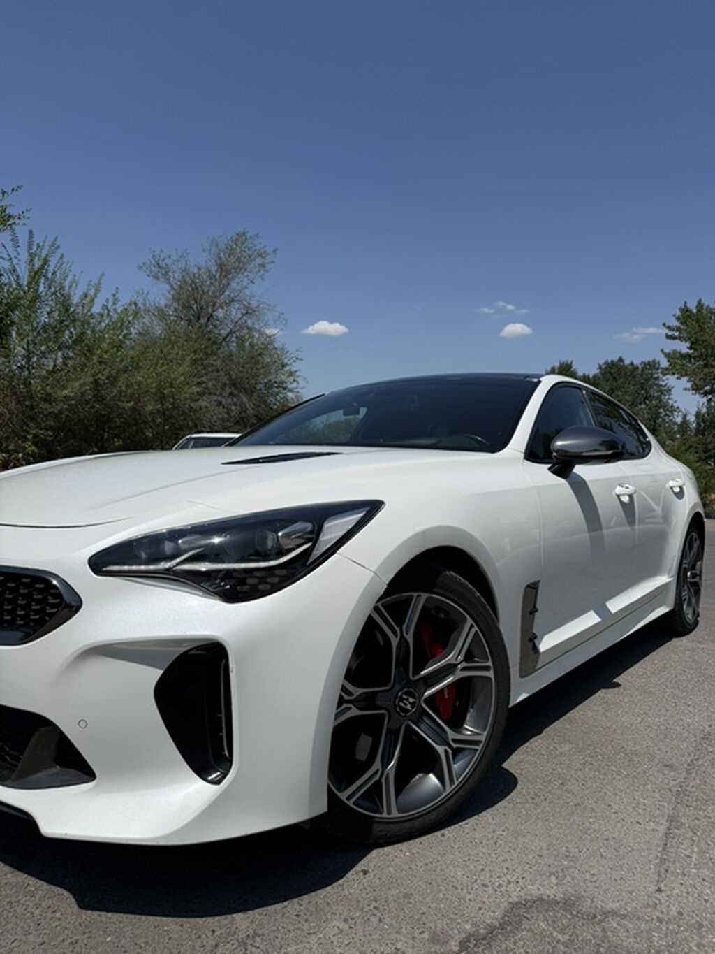 Kia Stinger: 2019 г., 2 л, Автомат, Бензин, Фастбек: фото 2