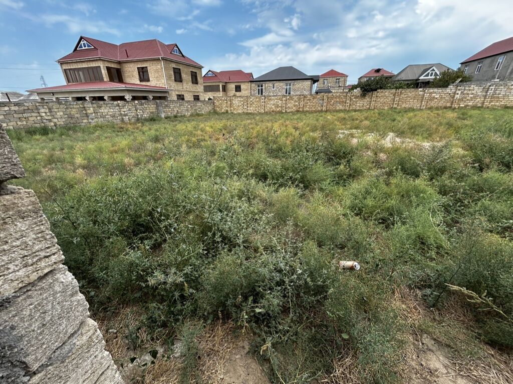 6 sot, Tikinti, Mülkiyyətçi, Kupça (Çıxarış)