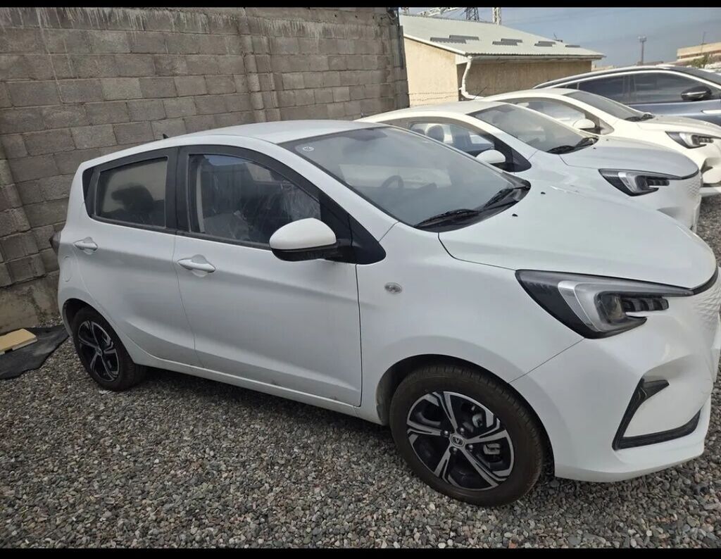 Changan Benben E-Star: 2025 г., 0.1 л, Автомат, Электромобиль, Хэтчбэк: фото 6
