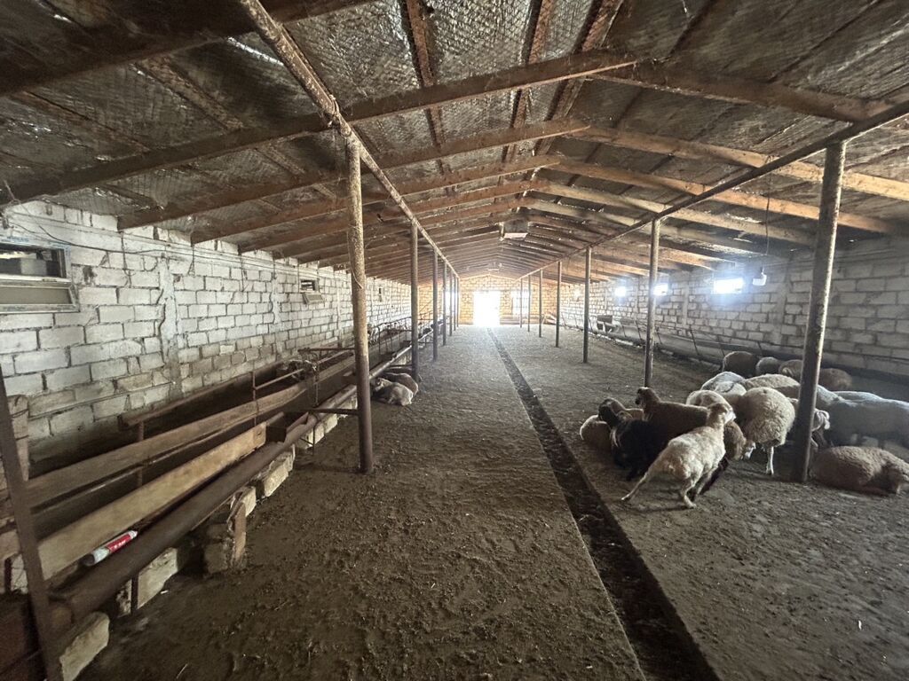 Ferma və təsərrüfat kompleksi - Bir neçə uzun korpusdan ibarət