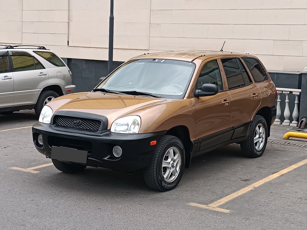 Hyundai Santa Fe: 2001 г., 2.7 л, Автомат, Бензин: фото 3