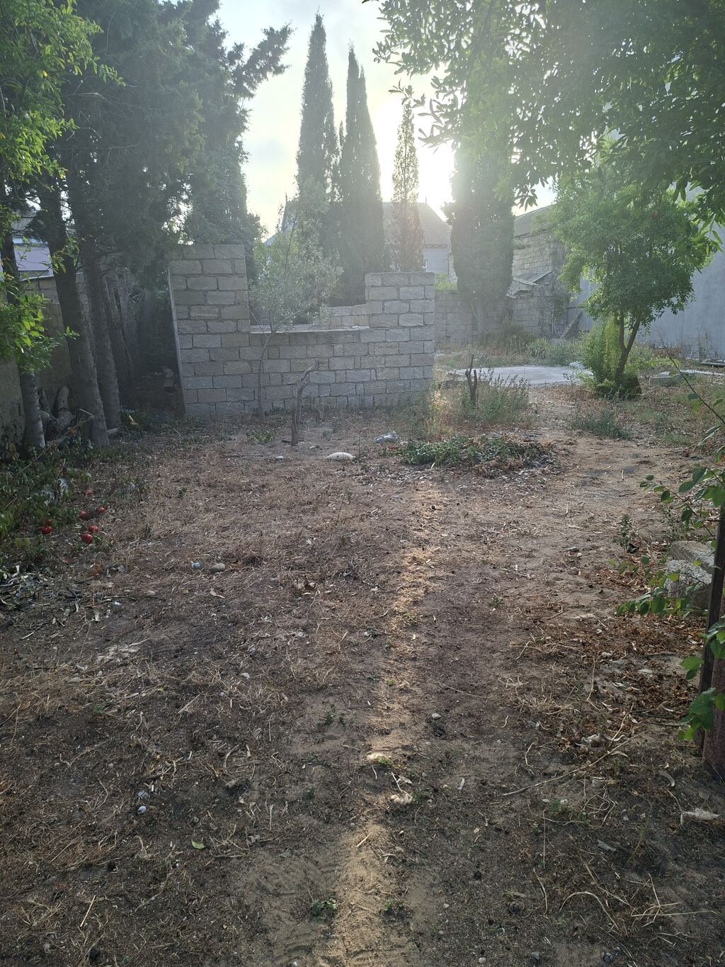 3 sot, Tikinti, Kupça (Çıxarış)