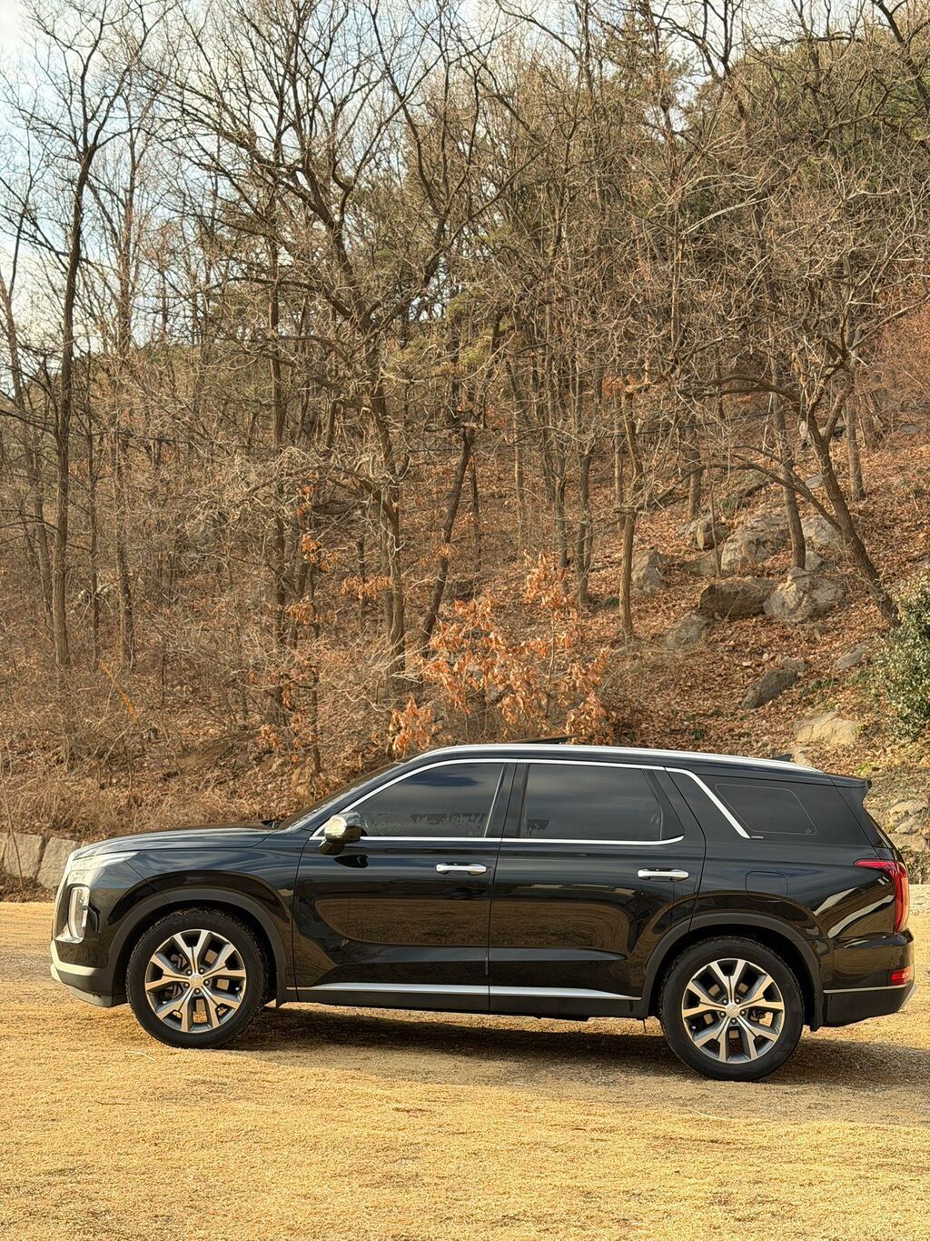 Hyundai Palisade: 2020 г., 2.2 л, Автомат, Дизель, Кроссовер: фото 5