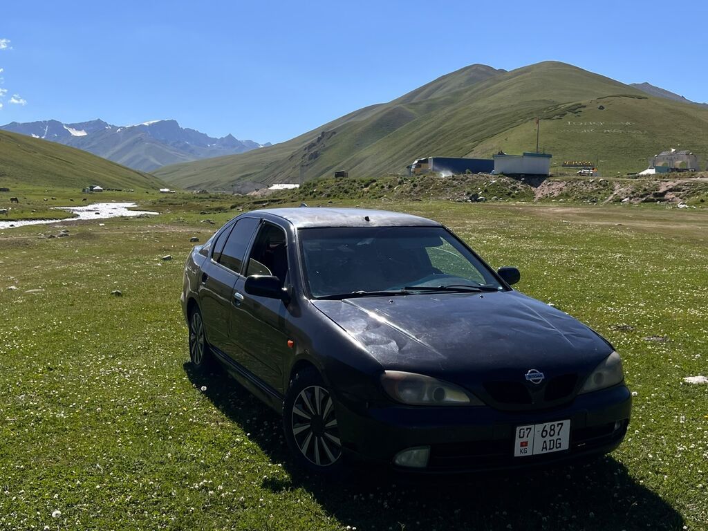 Nissan Primera: 2000 г., 1.8 л, Механика, Бензин, Седан: фото 4