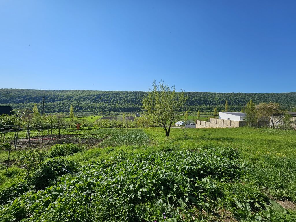 12 sot, Tikinti, Mülkiyyətçi, Kupça (Çıxarış)
