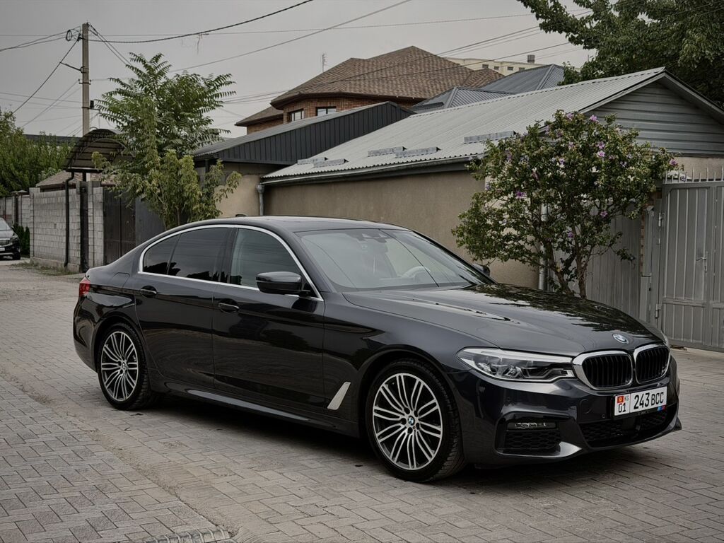 BMW 5 series: 2019 г., 2 л, Автомат, Бензин, Седан: фото 2