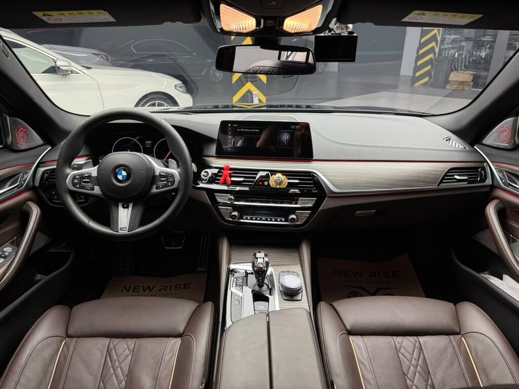 BMW 5 series: 2019 г., 2 л, Автомат, Бензин, Седан: фото 7