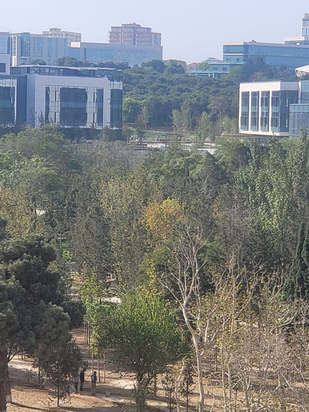 3 otaqlı, Yeni tikili, 101 kv. m