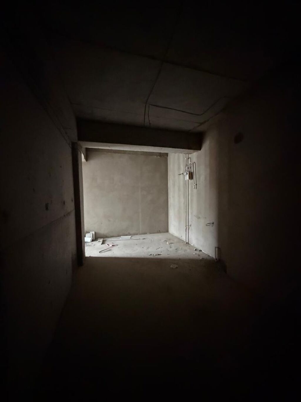 2 комнаты, 69 м², Технопарк Индивидуалка, 11 этаж, ПСО (под самоотделку): фото 3