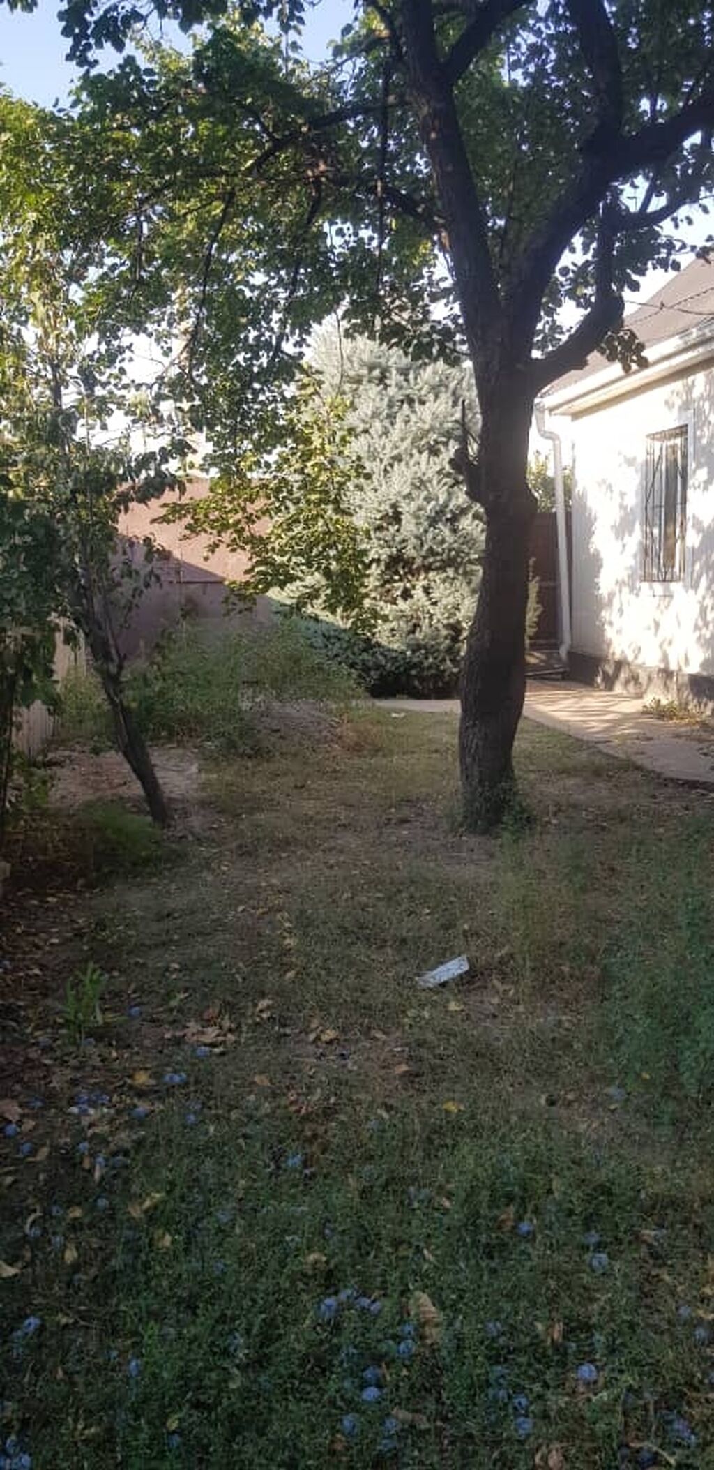 3 комнаты, 45 м², 3 соток, Бишкек, Западный (новый) автовокзал Риэлтор: фото 3