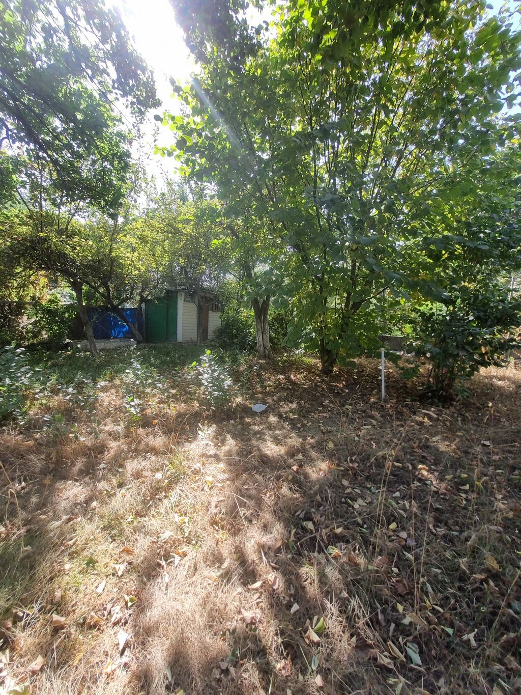 5 комнат, 105 м², 5 соток, Совхоз "Ала-Тоо", Электричество: фото 4