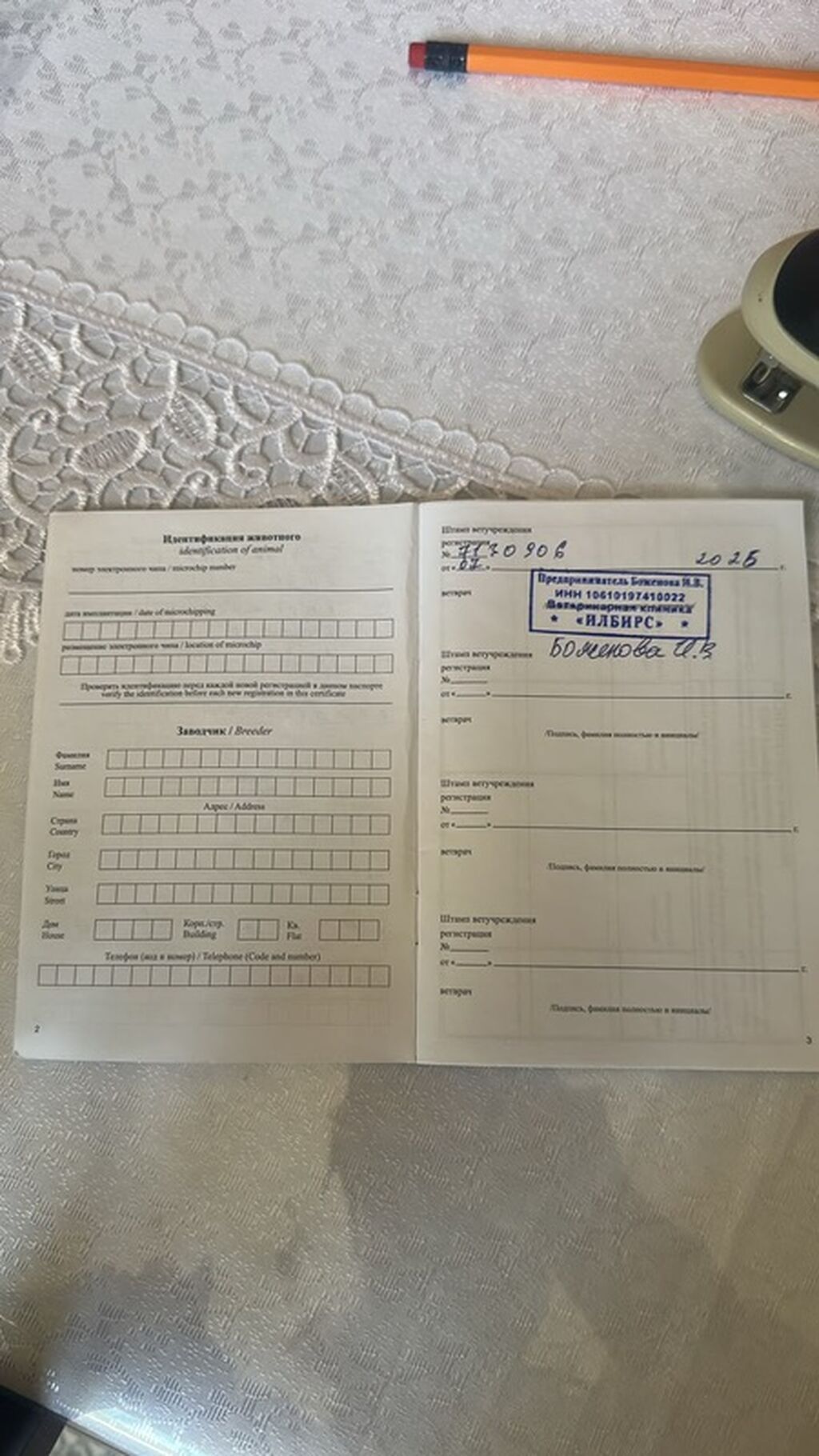 Продается Шатланское кошка черная. Комплект для кошки Состав: -: фото 3