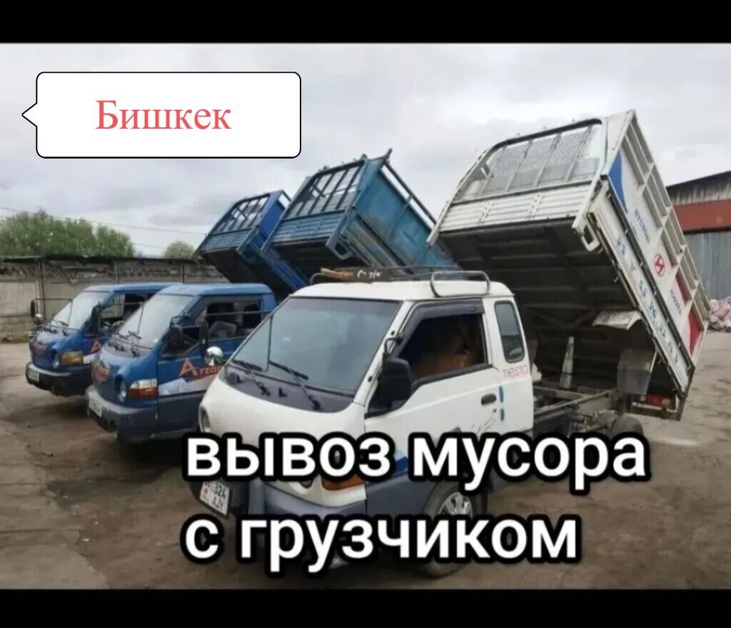 Заказать Хендай портер, Вывоз бытового мусора, C грузчиком: фото 8