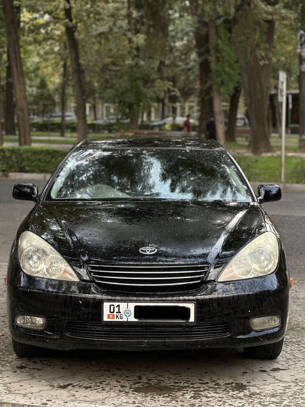 Toyota Windom
