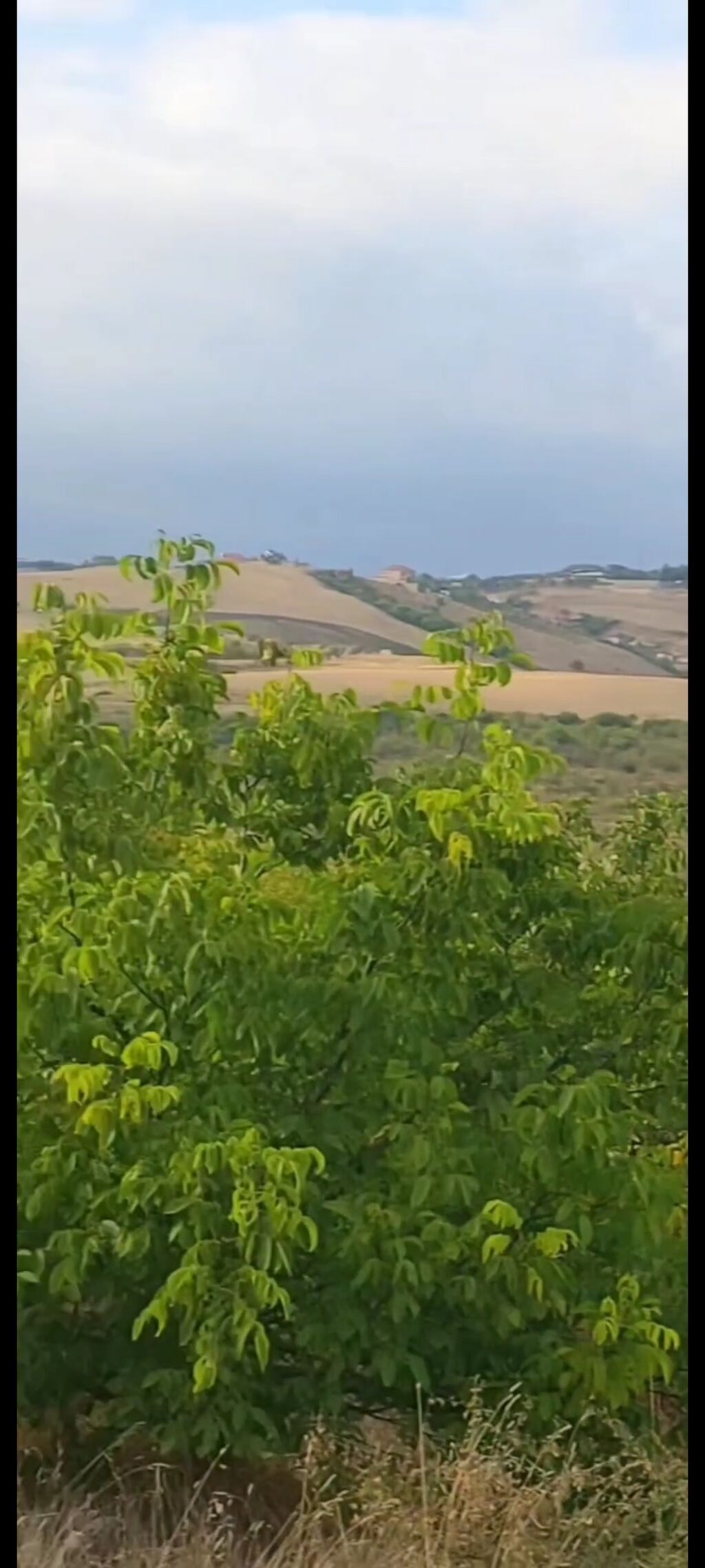 1100 sot, Tikinti, Maklerlər narahat etməsin, Kupça (Çıxarış)