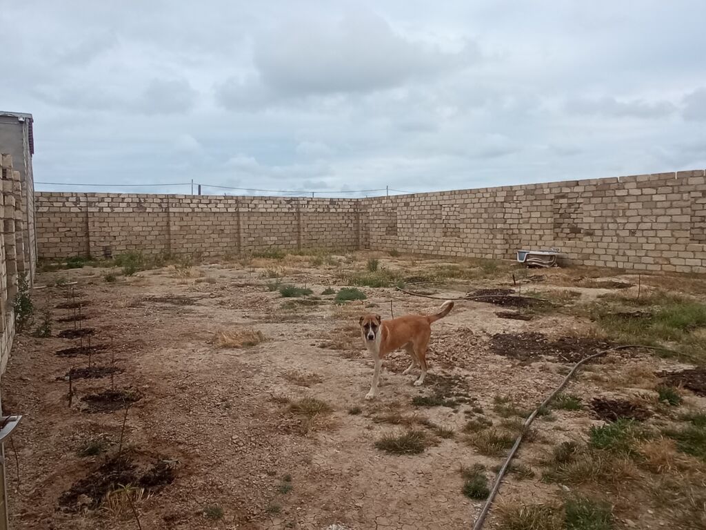 70 kv. m, 3 otaqlı, İnternet, İşıq, Su