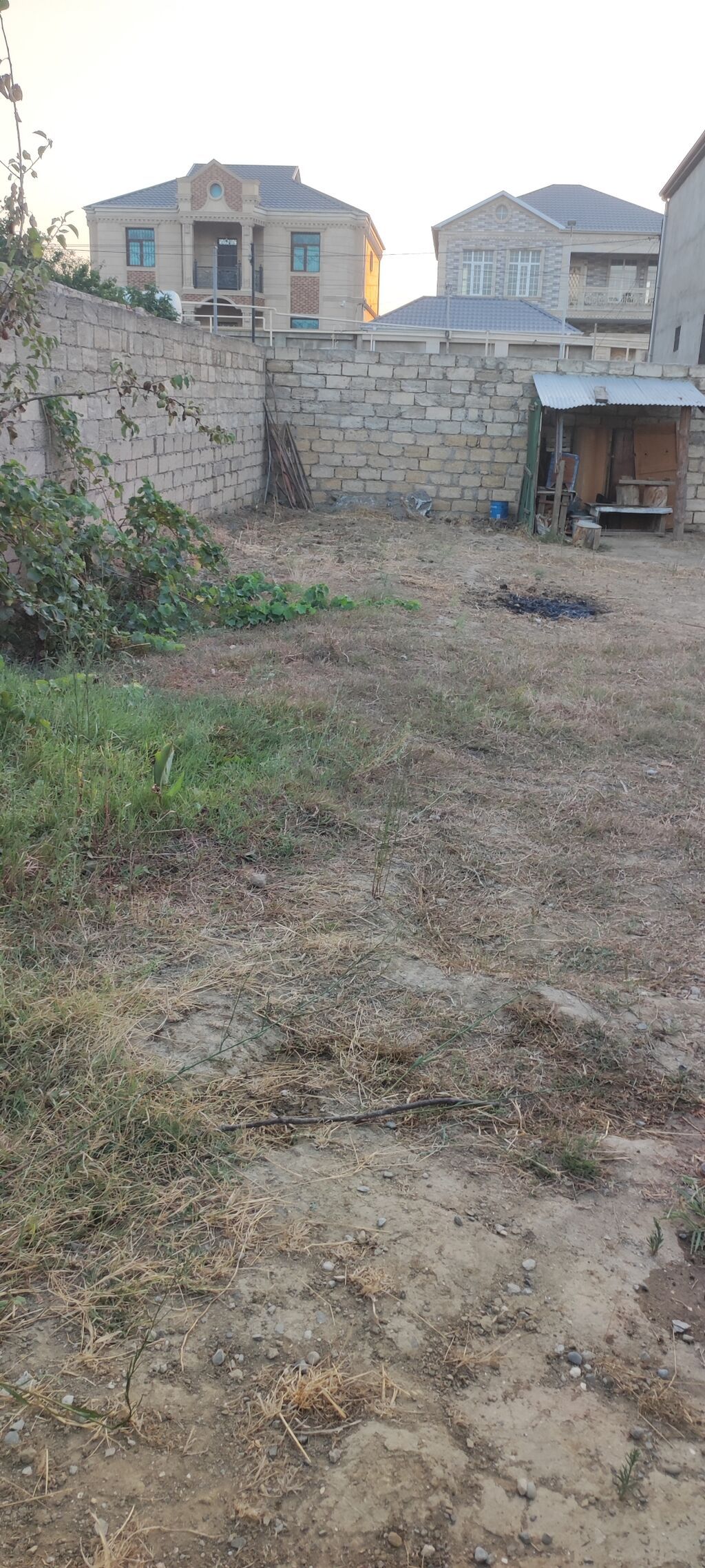 2 sot, Tikinti, Mülkiyyətçi, Kupça (Çıxarış)