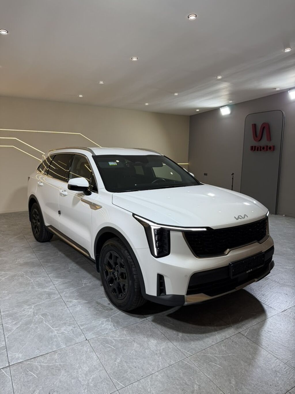 Kia Sorento: 2023 г., 1.6 л, Автомат, Гибрид, Кроссовер: фото 3