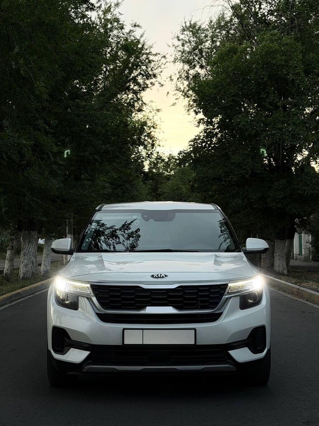 Kia Seltos: 2020 г., 1.6 л, Автомат, Дизель, Кроссовер: фото 3