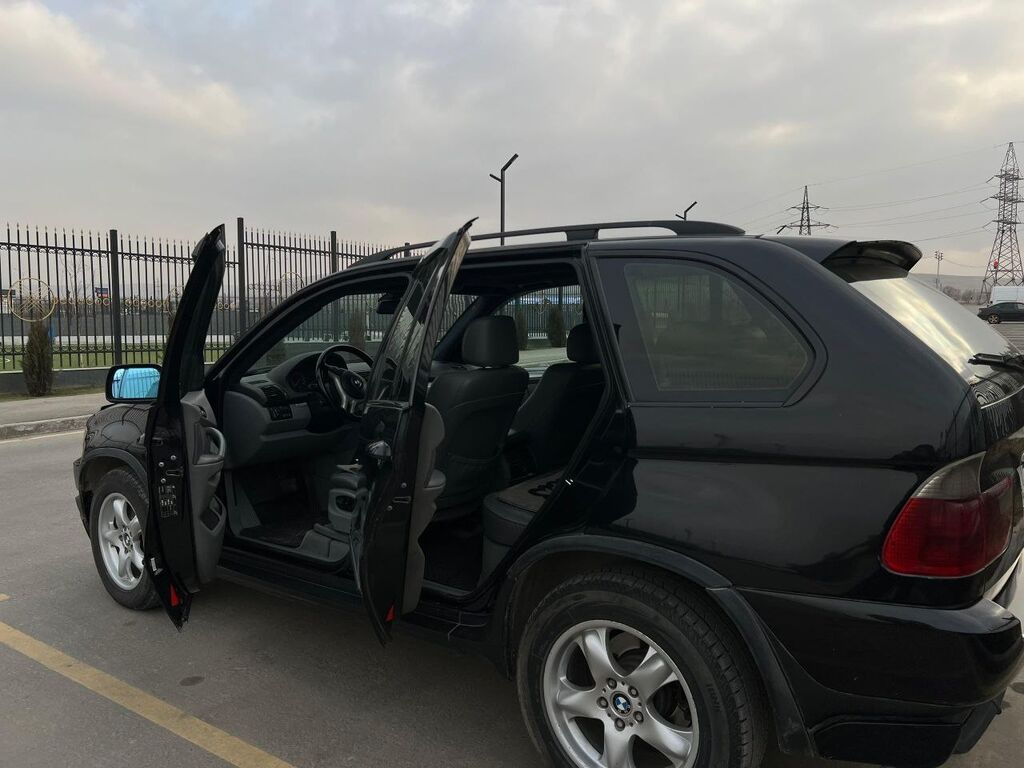 BMW X5: 2003 г., 3 л, Автомат, Дизель, Кроссовер: фото 8
