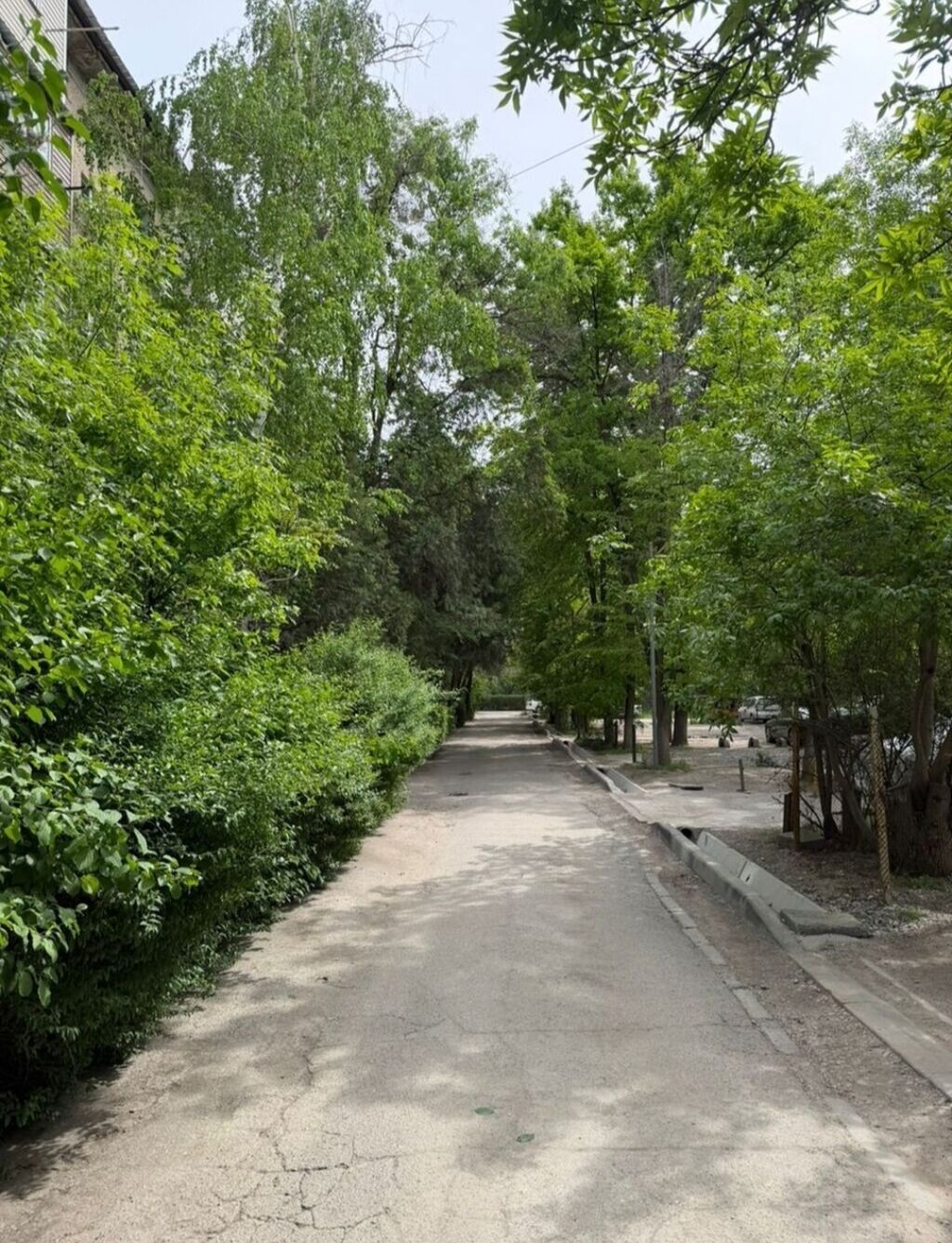 1 комната, 8 мкр Собственник, Парам без детей, от 1 года, С мебелью полностью: фото 8