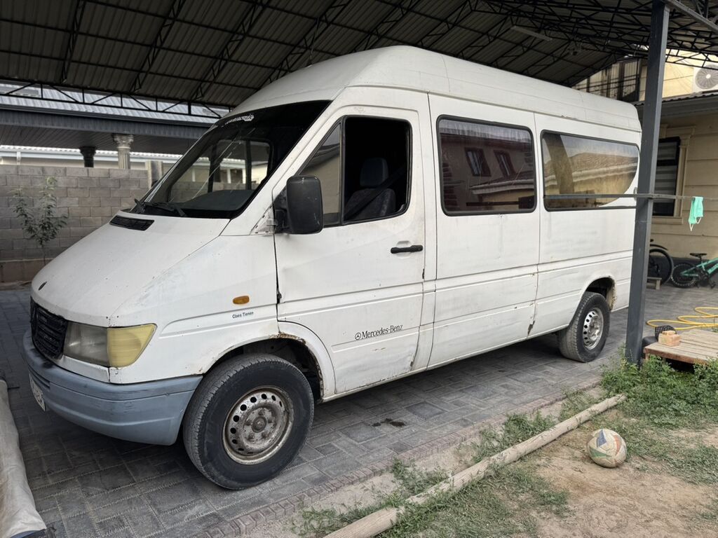 Mercedes-Benz Спринтер: 1997 г., 3 л, Механика, Дизель, Бус: фото 1