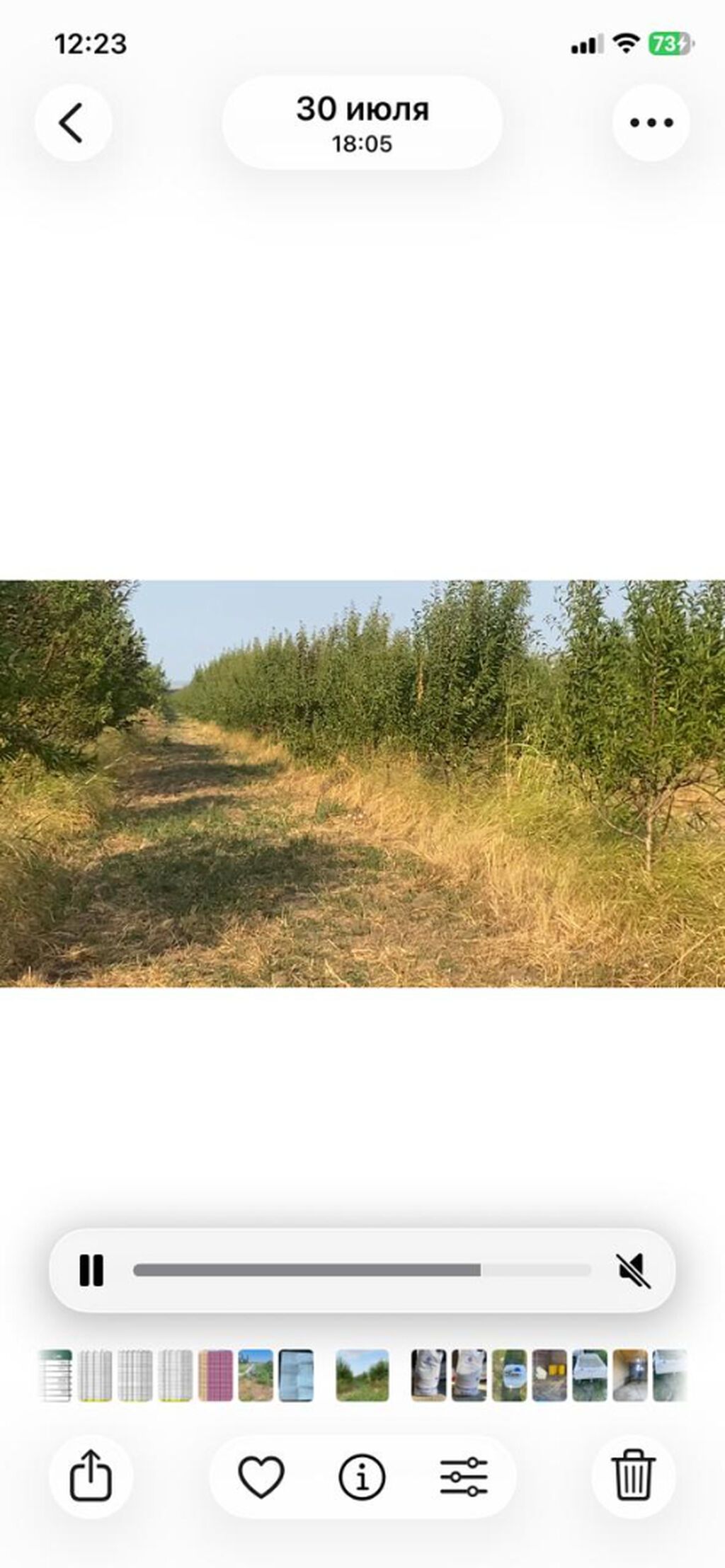 412 sot, Kənd təsərrüfatı, Mülkiyyətçi, Kupça (Çıxarış)