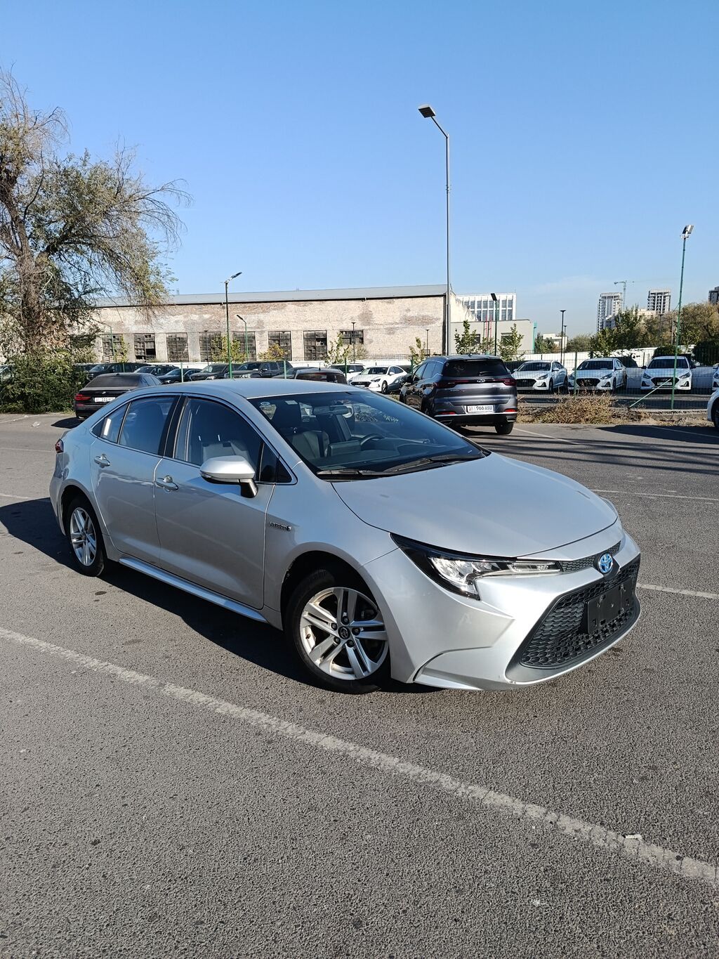 Toyota Levin: 2020 г., 1.8 л, Вариатор, Гибрид, Седан: фото 2