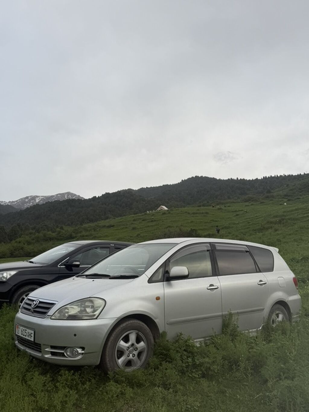 Toyota Ipsum: 2003 г., 2.4 л, Автомат, Бензин, Минивэн: фото 3
