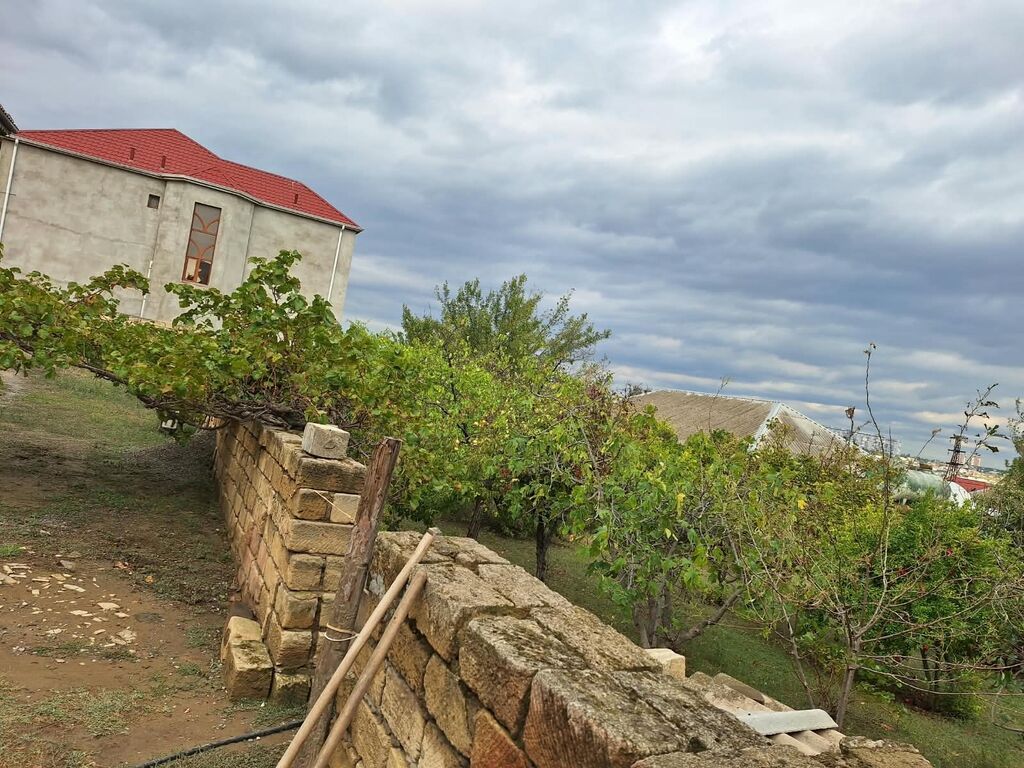 1100 sot, Tikinti, Bələdiyyə