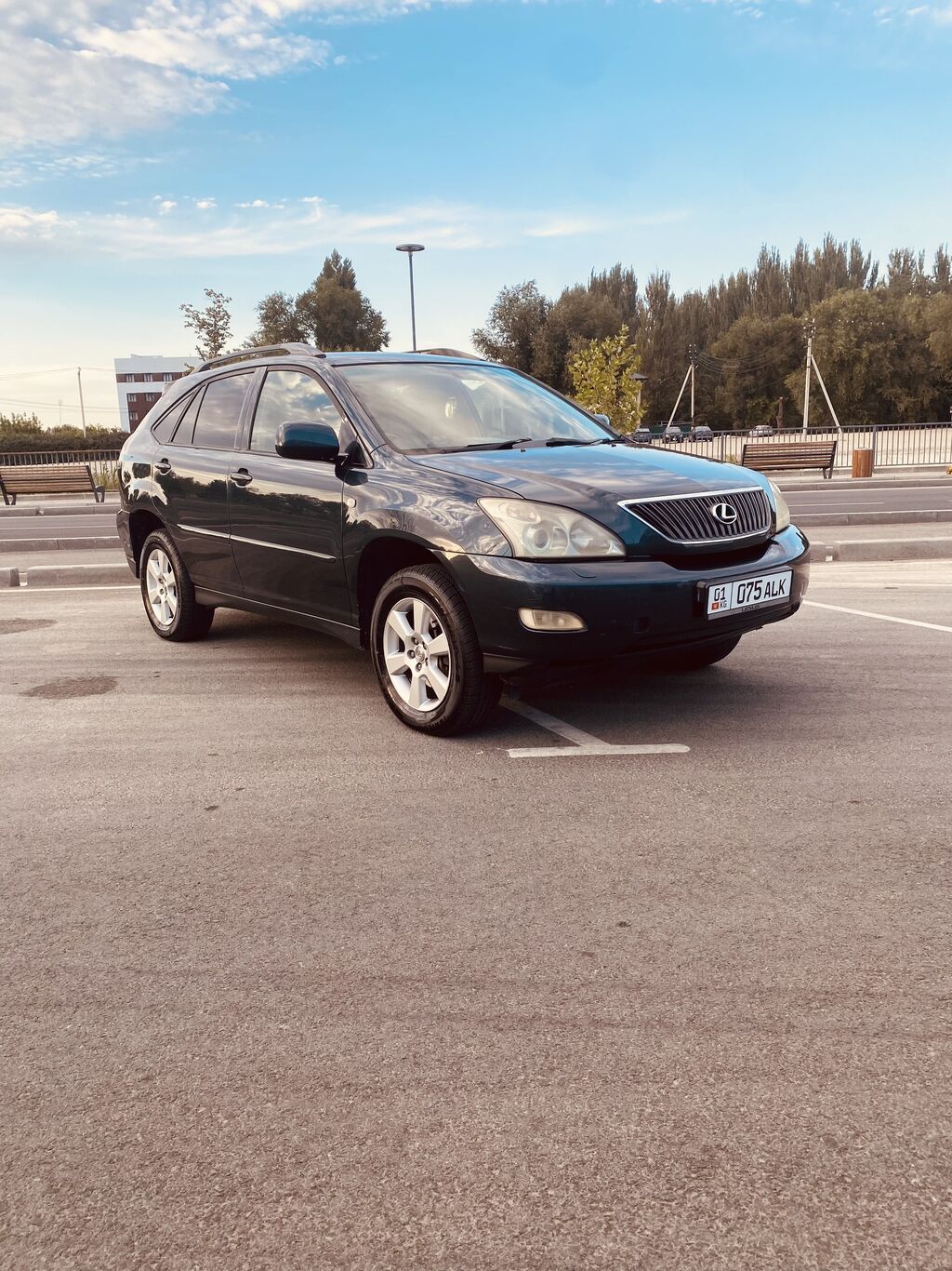 Lexus RX: 2004 г., 3 л, Автомат, Бензин, Кроссовер: фото 2