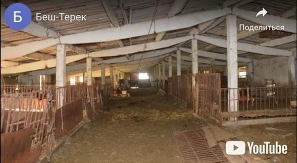 Продаю кошару. Расположена в Московском районе, село Беш Терек