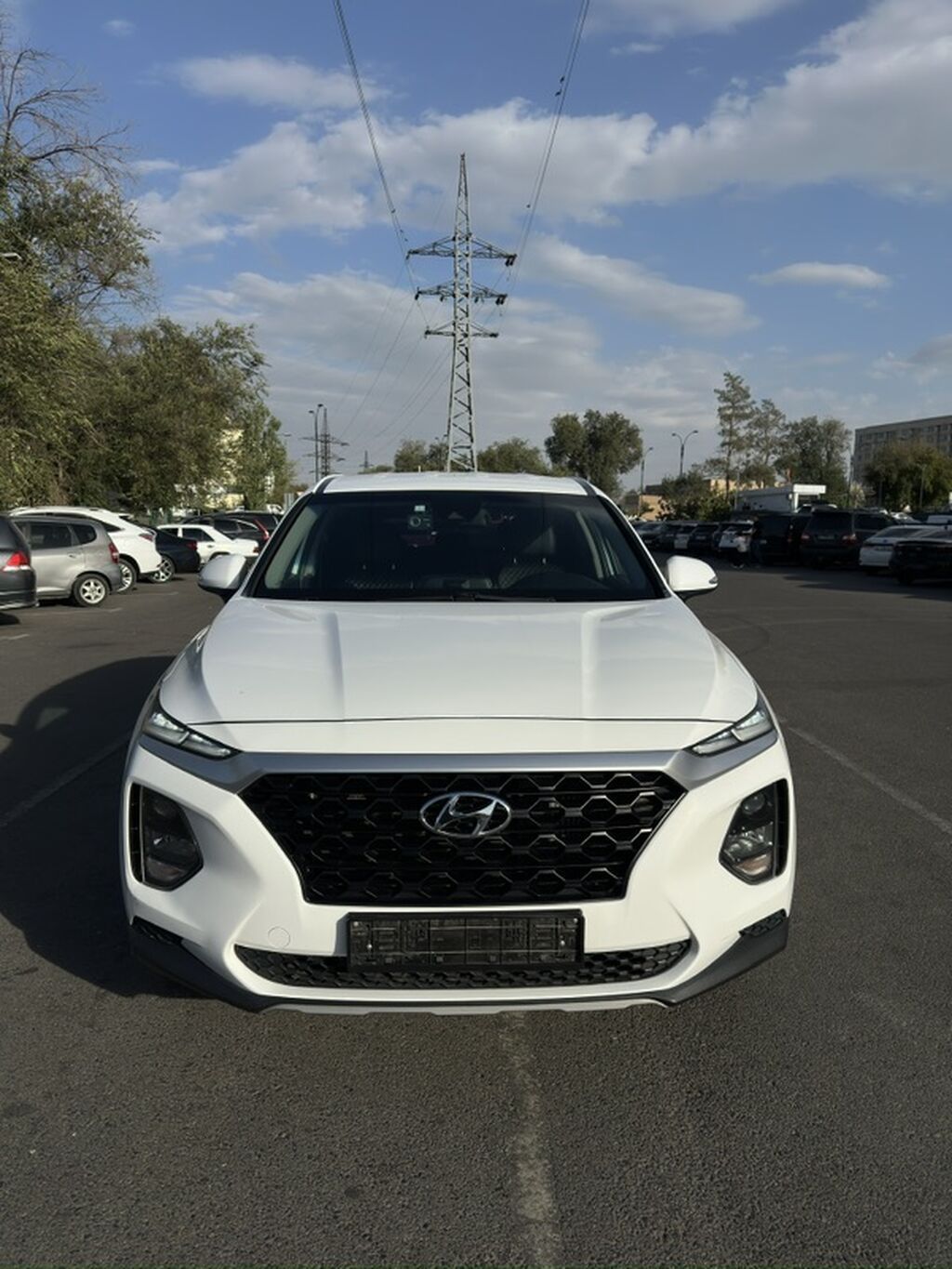 Hyundai Santa Fe: 2019 г., 2 л, Типтроник, Дизель, Кроссовер: фото 2