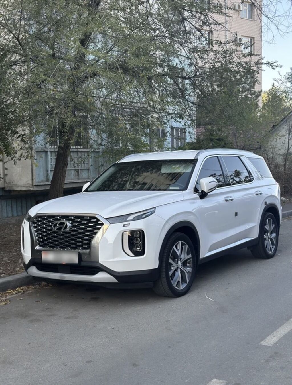 Hyundai Palisade: 2019 г., 2.2 л, Автомат, Дизель, Кроссовер: фото 2