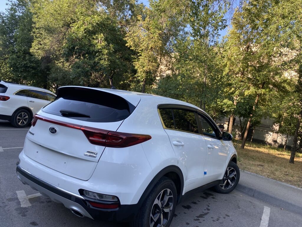 Kia Sportage: 2019 г., 2 л, Автомат, Дизель, Кроссовер — фото 6