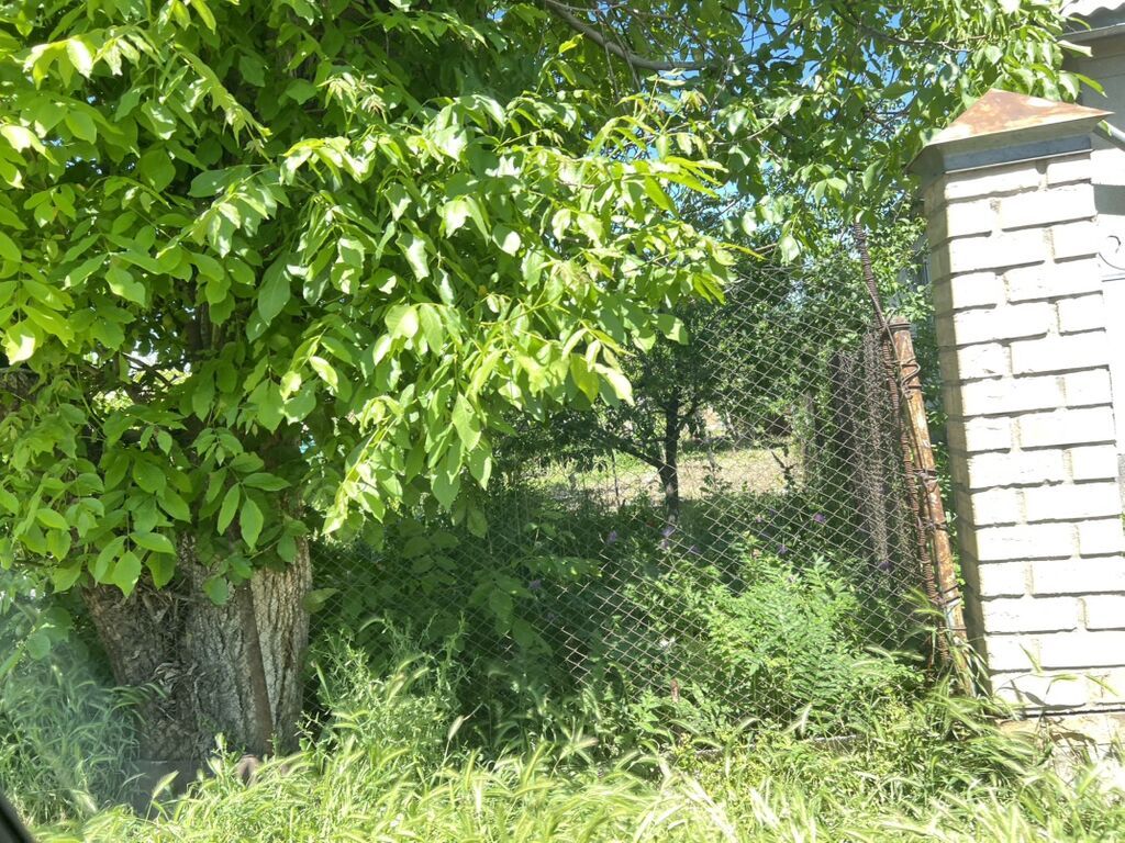 Продаю дом (это не полдома) с участком и хозпостройками (с.Достук) — фото 5