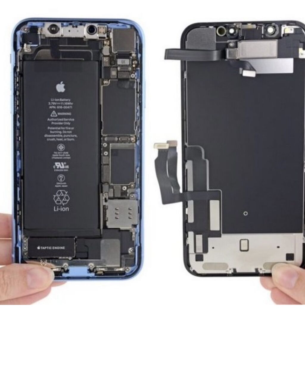 Iphone XR IFIXIT