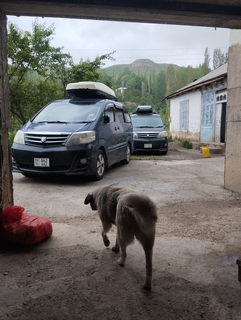 Toyota Alphard: 2004 г., 3 л, Автомат, Газ, Минивэн: фото 2