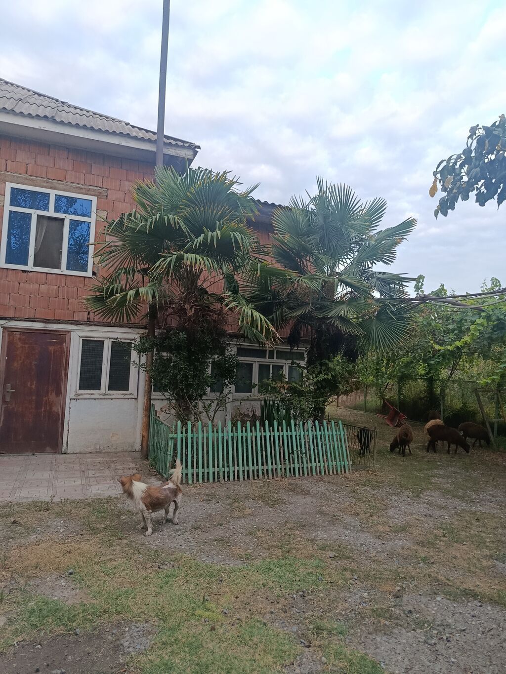 Satılır: həyətli iki mərtəbəli yaşayış evi - Ümumi təsvir: İki