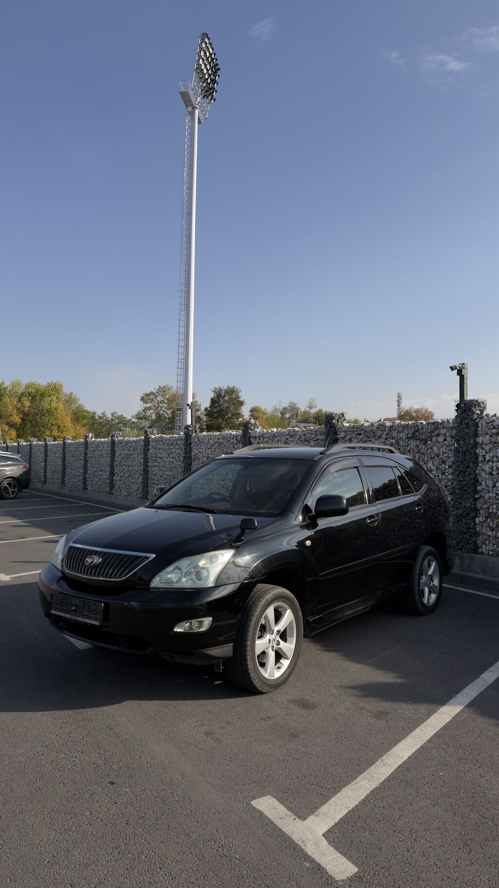 Toyota Harrier: 2004 г., 3 л, Автомат, Газ, Кроссовер: фото 1