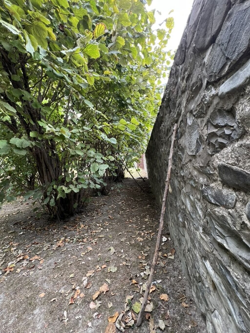 8 sot, Tikinti, Mülkiyyətçi, Kupça (Çıxarış)