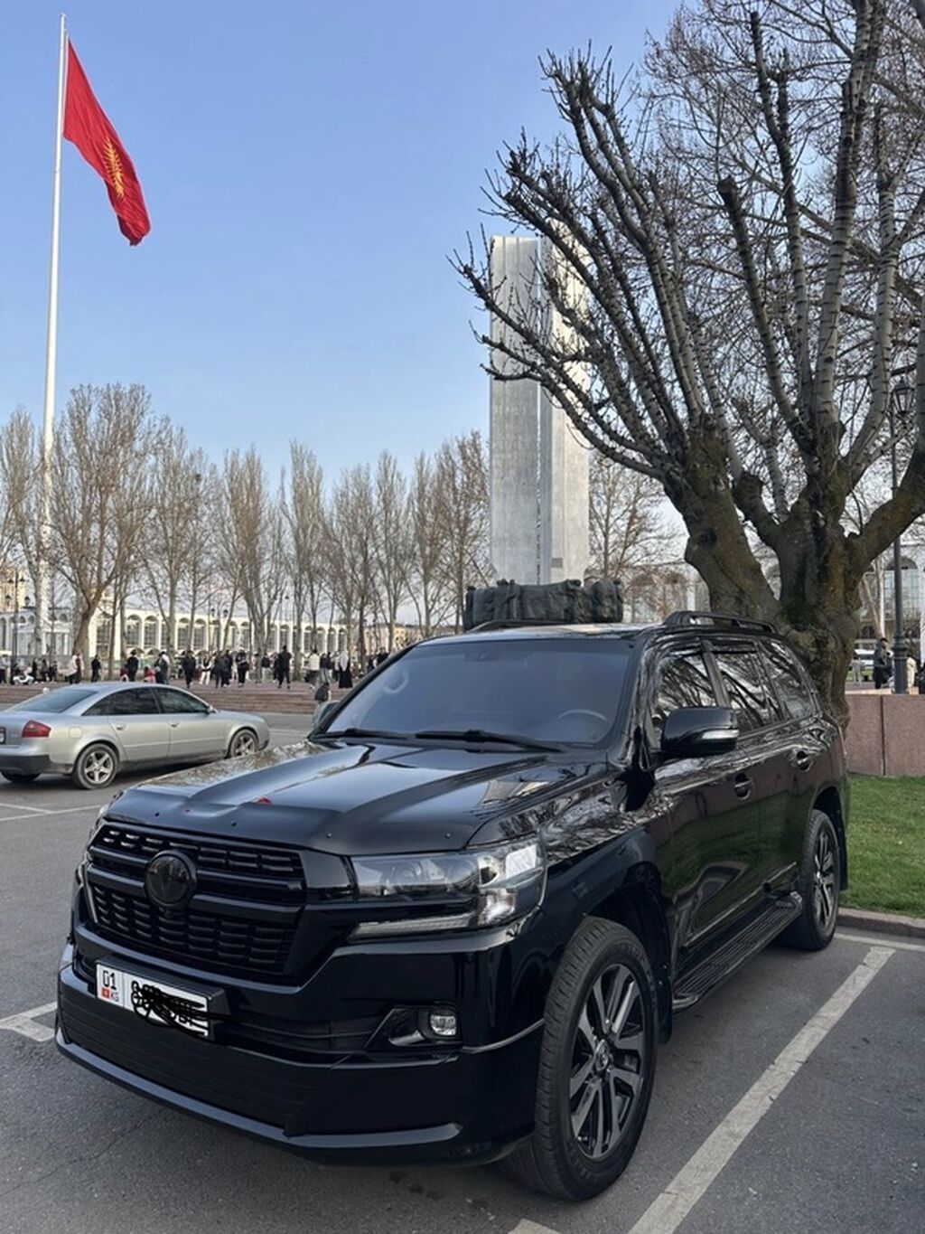 Toyota Land Cruiser: 2008 г., 4.7 л, Автомат, Бензин, Внедорожник: фото 5