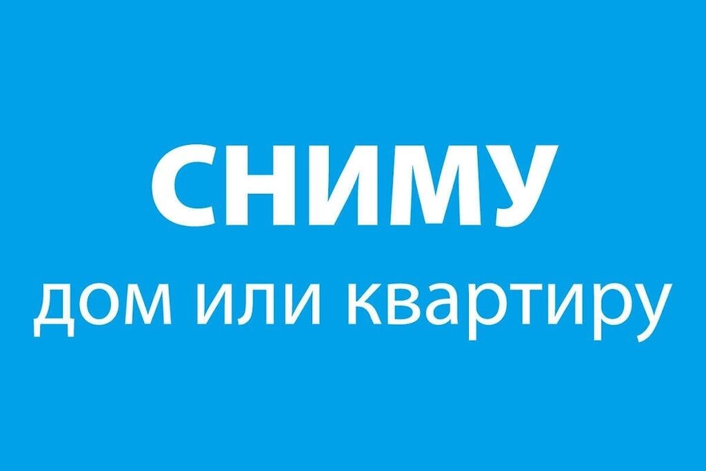 Сниму Квартиру Фото Объявления