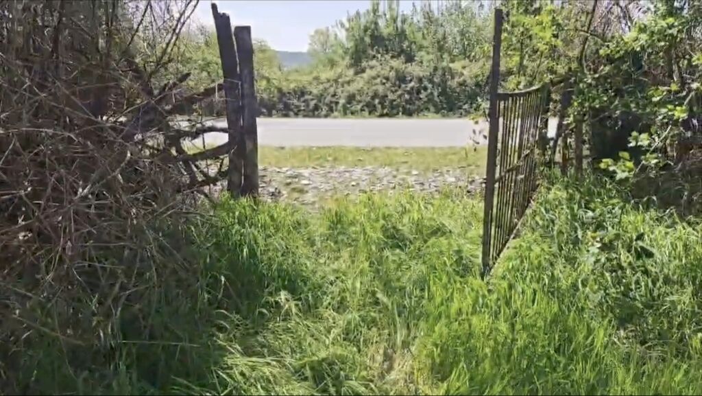 15 sot, Biznes üçün, Mülkiyyətçi, Kupça (Çıxarış)