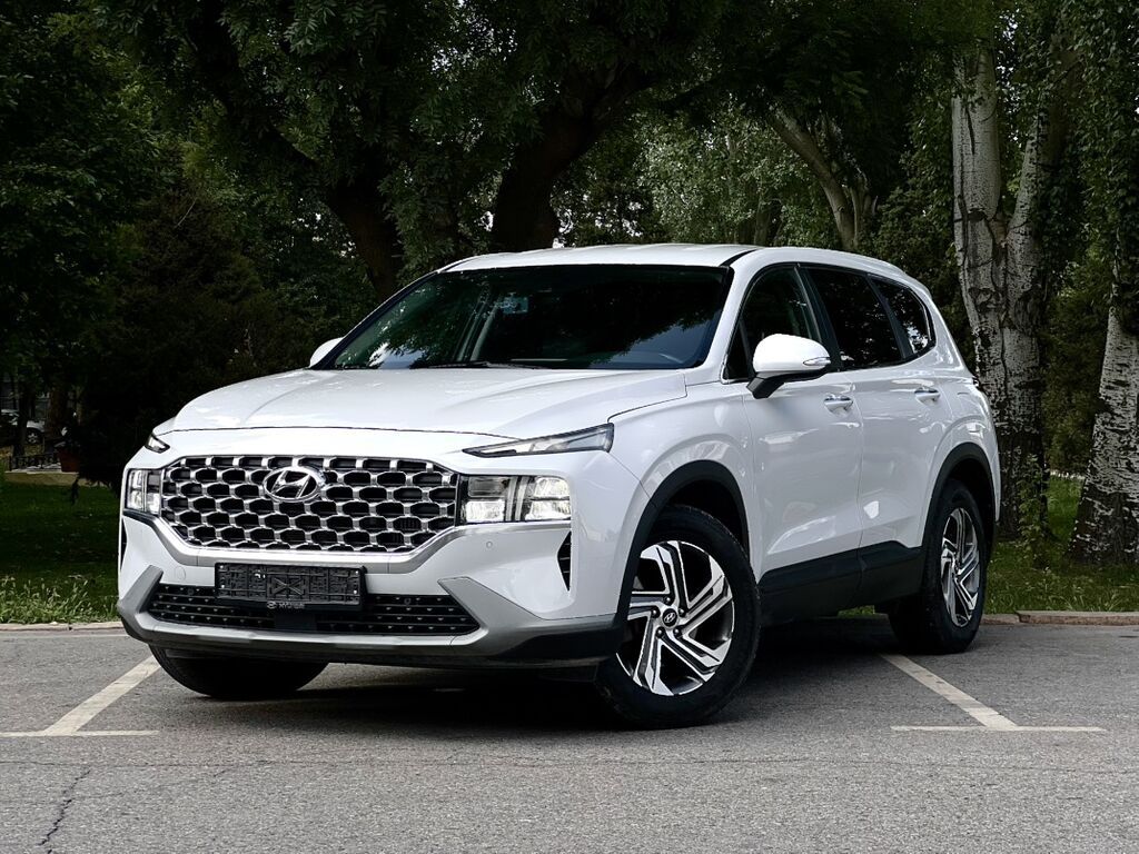 Hyundai Santa Fe: 2020 г., 2 л, Робот, Дизель, Кроссовер: фото 1