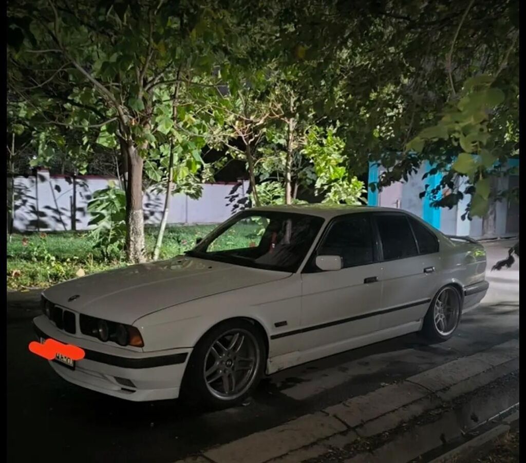 BMW 530: 1990 г., 3.2 л, Механика, Бензин, Седан: фото 6